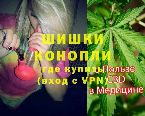 PSILOCYBIN Белокуриха