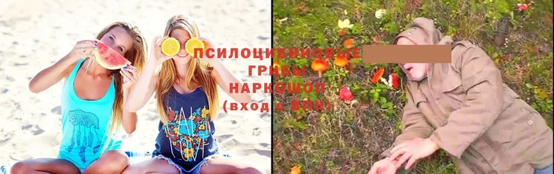 Галлюциногенные грибы MAGIC MUSHROOMS  МЕГА как войти  Усть-Кут 