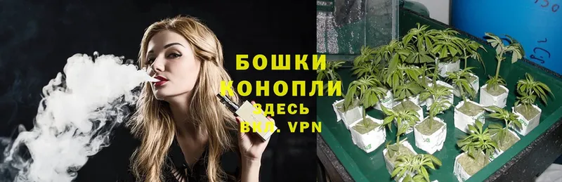 OMG   купить закладку  Усть-Кут  Марихуана Ganja 